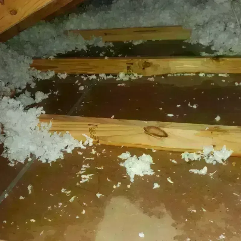 Attic Water Damage in Copperas Cove, TX